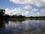 C Everglades 050 : Everglades